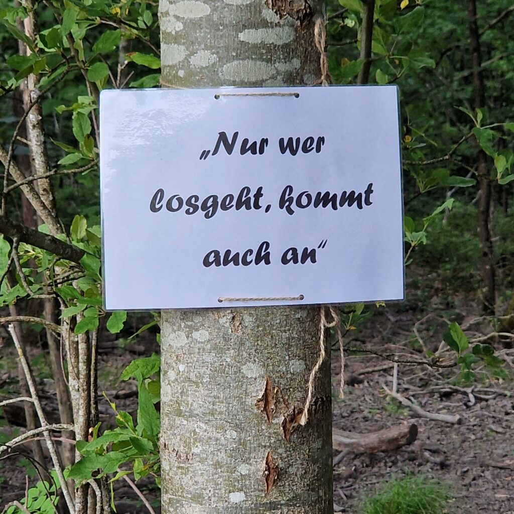 wahre_Worte